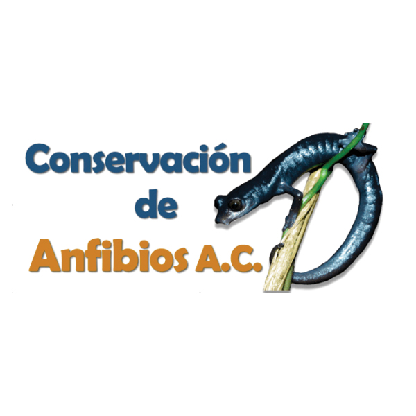 Conservación de Anfibio
