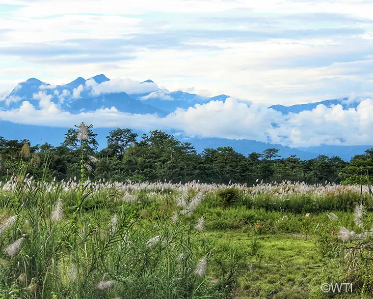 D'Ering-Dibru Saikhowa Elephant Corridor