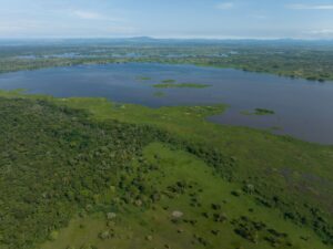 If successful, this appeal will enable El Silencio to protect five species of freshwater turtle, each unique and with very distinct habitat requirements. Credit: Callie Broaddus