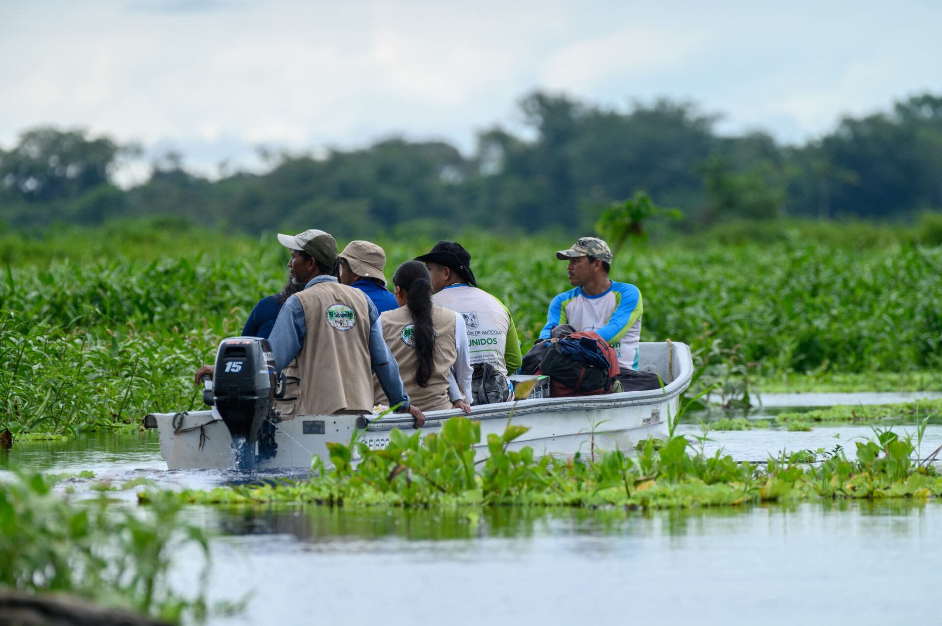 Monitoring - El Silencio
