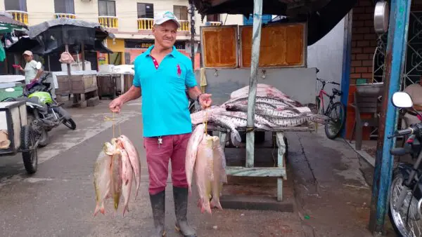 A local fisherman shows his catch at the market in Bocas de Barbacoas. Credit: FBC