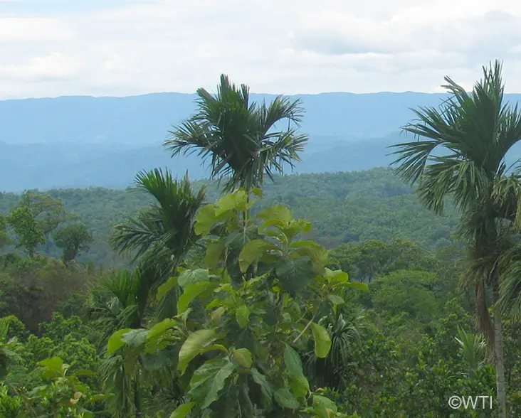 A view of the Garo Green Spine