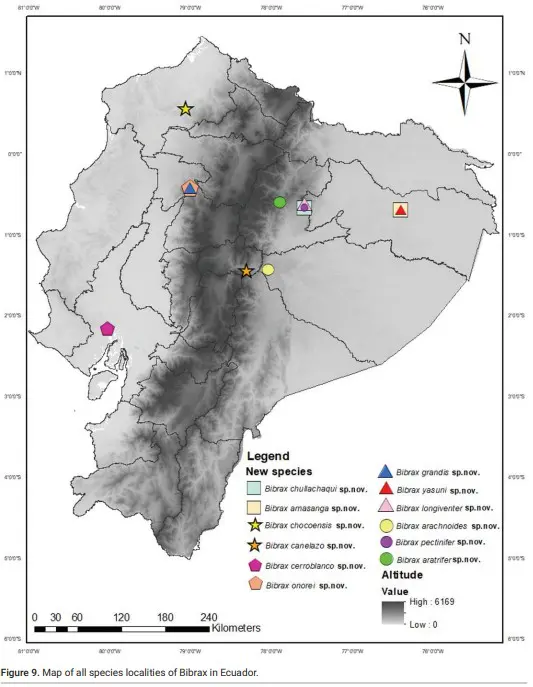 This map shows the distribution of sites in which the new Bibrax species were found. These locations range from low to high altitude and extend the genus’ range much farther south than previously known. Image taken from Yarina Tapuy-Avilés et al., (2025). Credit: Yarina Tapuy-Avilés et al.