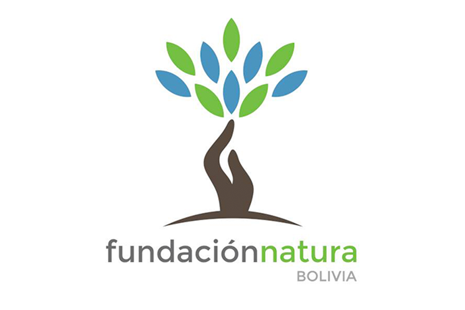Natura logo