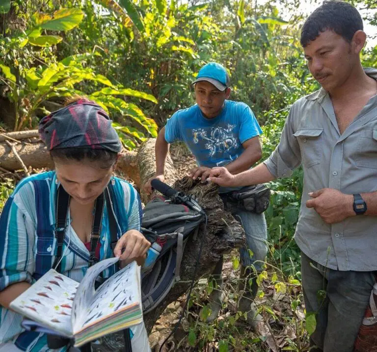 Paula Caycedo is an ornithologist who has extensively studied the calls and songs of the enigmatic Blue-billed Curassow.