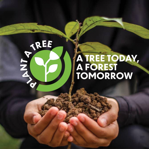Plant a Tree