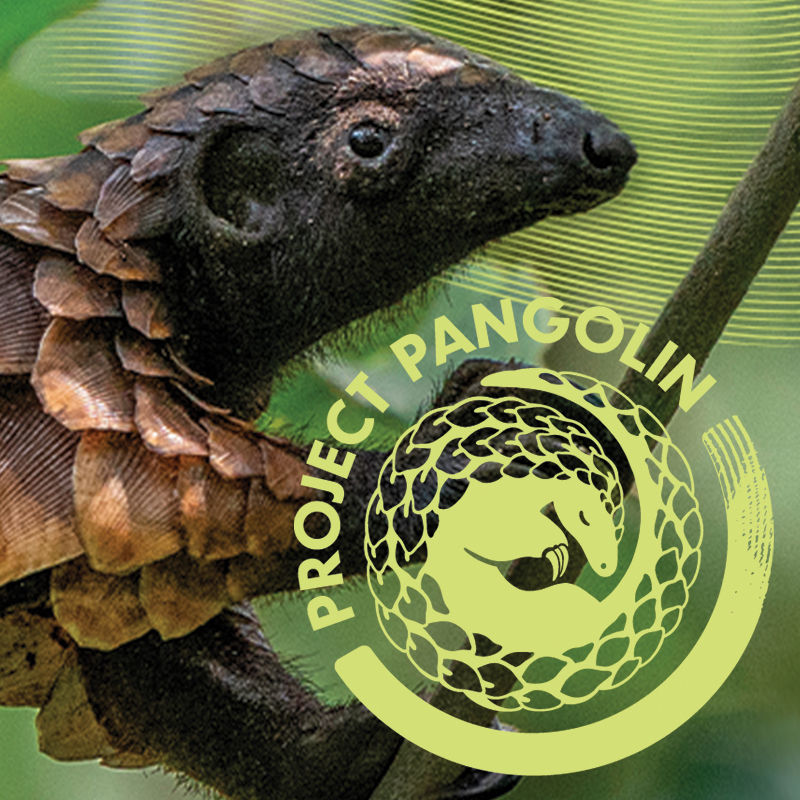 Project Pangolin