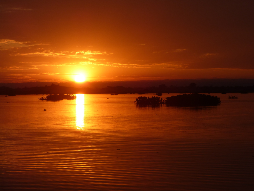 The calm, serene waters of the Barbacoas Lake and wetlands in Colombia’s Magdalena Valley are one of the few places these shy manatees can be found. Credit: D van der Post