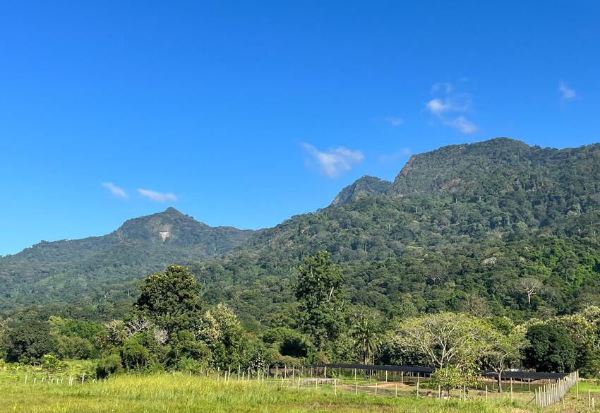 Udzungwa Botanic Garden