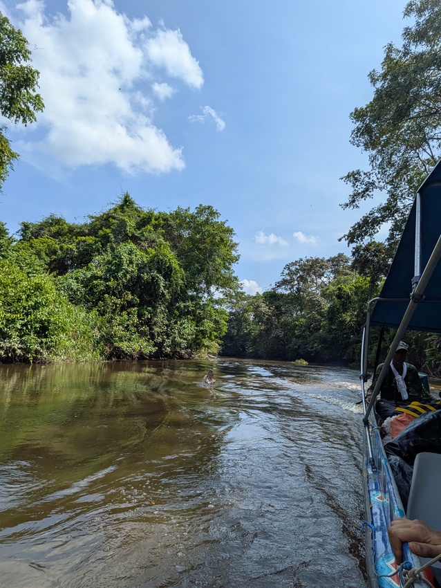 Mary and the FBC team travelled by boat along the ever-changing channels of the wetland