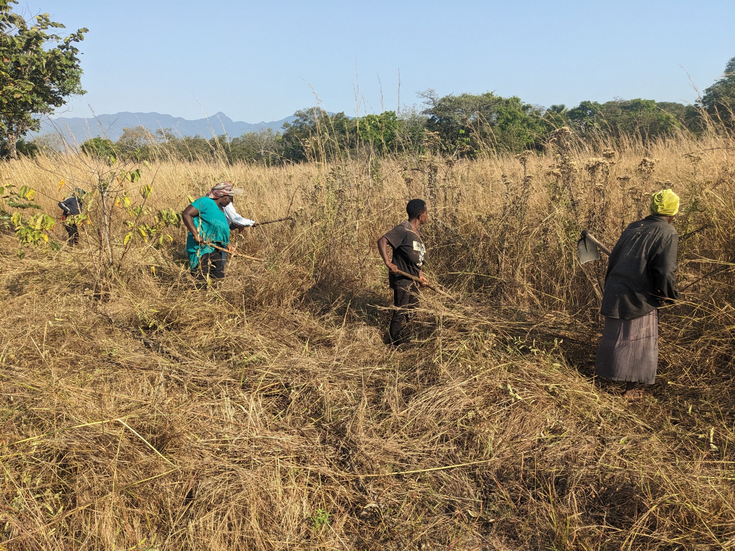 Aftercare at Magombera