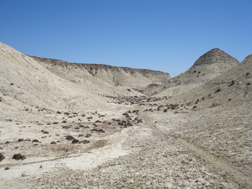 Estancia La Esperanza Refugio Vida Silvestre