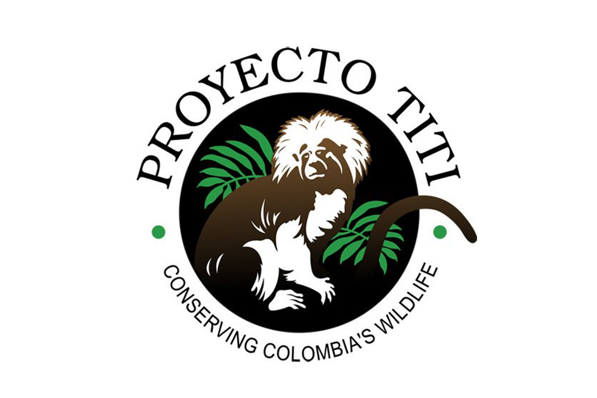 Proyecto titi logo