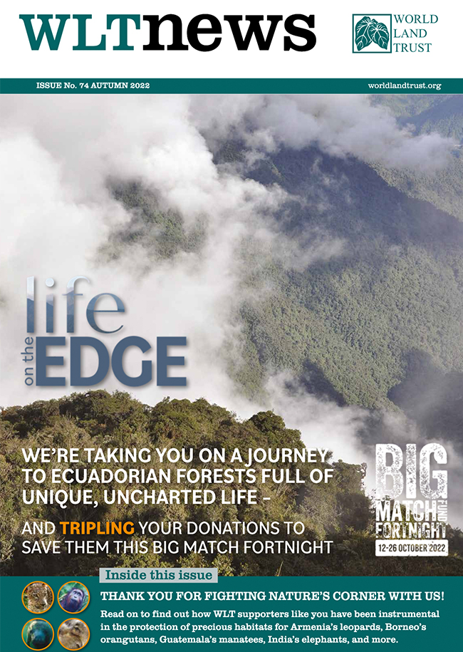 WLT News Autumn 2022