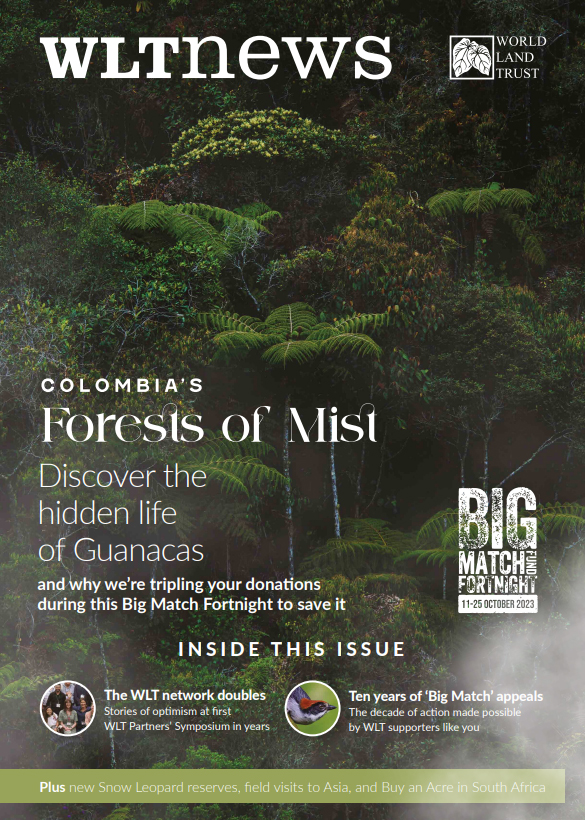 WLT News Autumn 2023