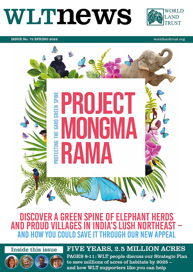 WLT News Spring 2022