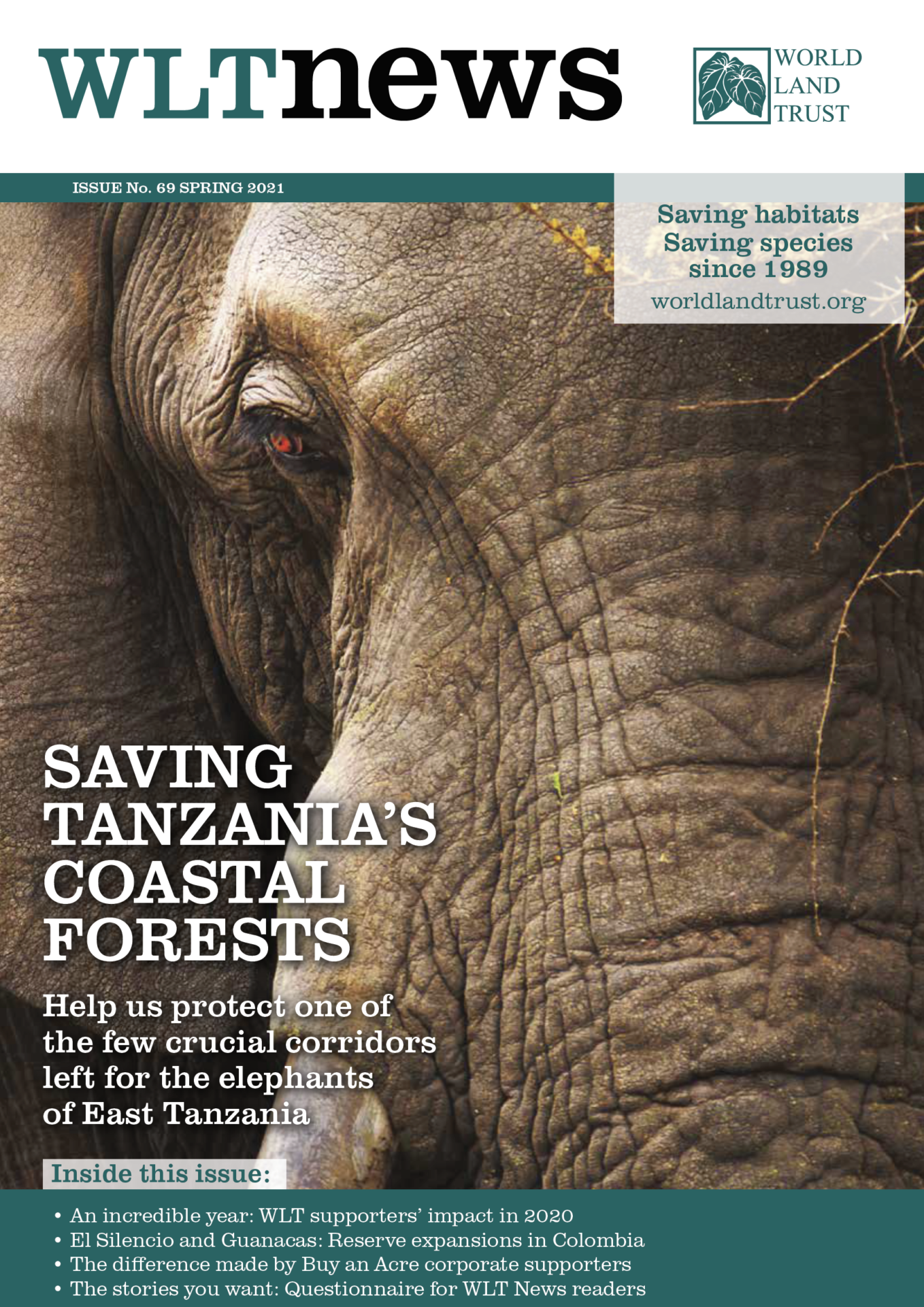 WLT News Spring 2021