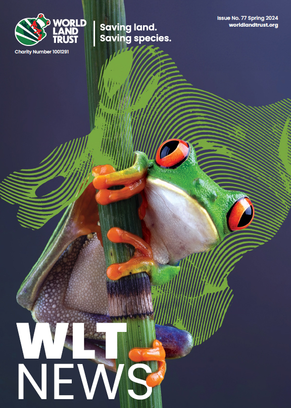 WLT News Spring 2024