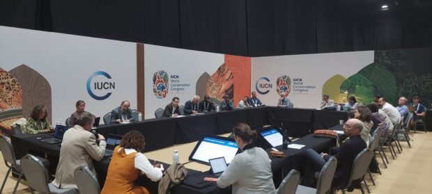 A session led by Richard Cuthbert presenting WLT’s conservation strategy to our partners and amending this according to their feedback. Credit: WLT