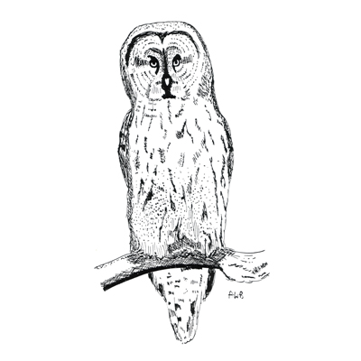 Birdfinders Holidays