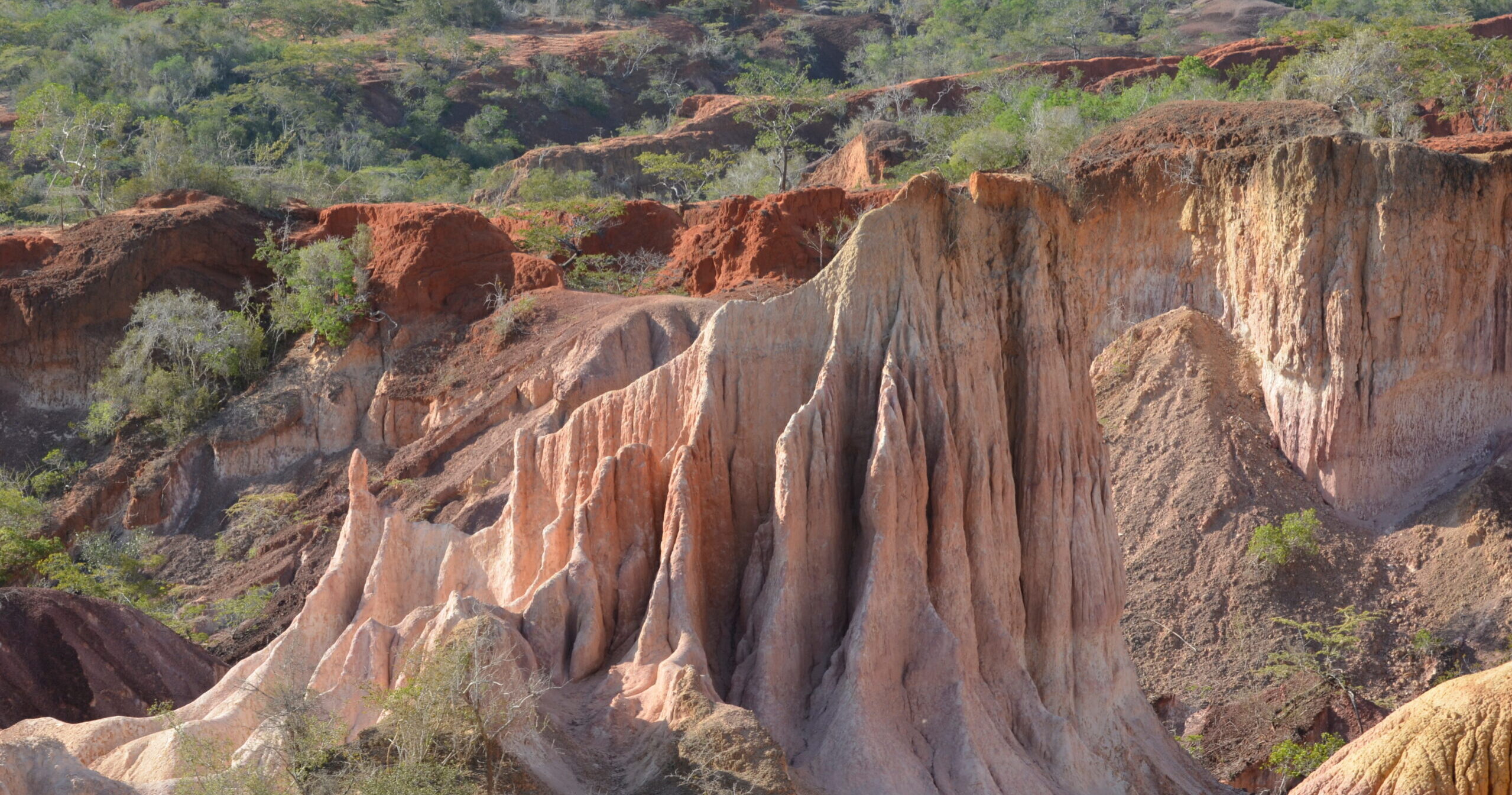 Hells Kitchen in Dakatcha