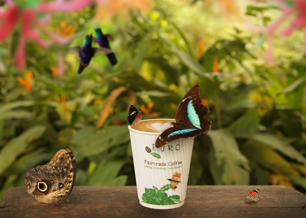 Butterflies on a Puro coffee cup