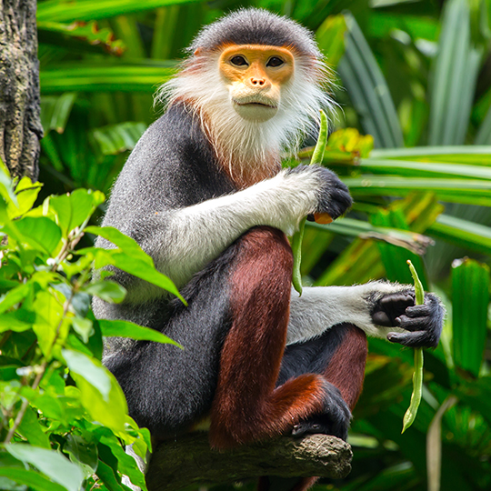 WLT News Autumn 2019