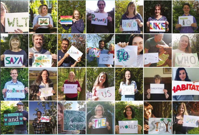 WLT News Summer 2020