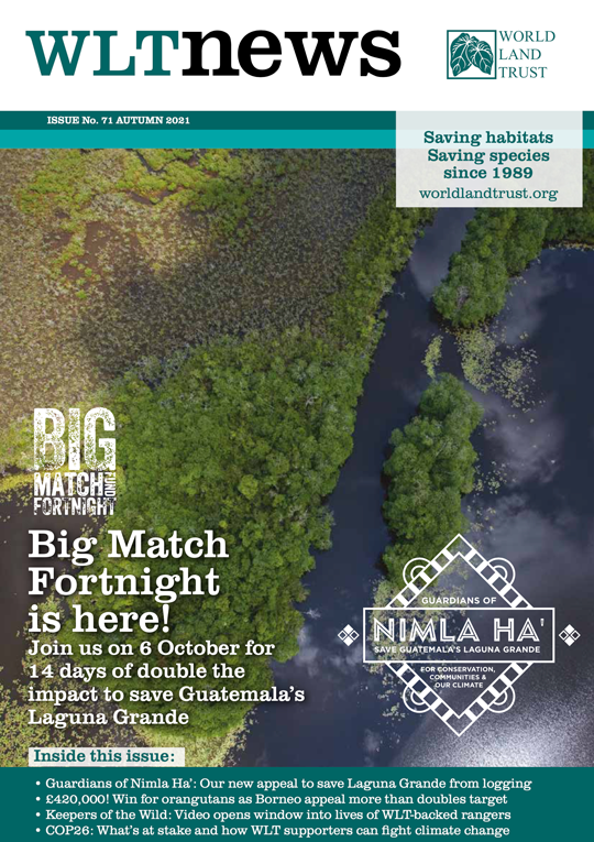 WLT News Autumn 2021