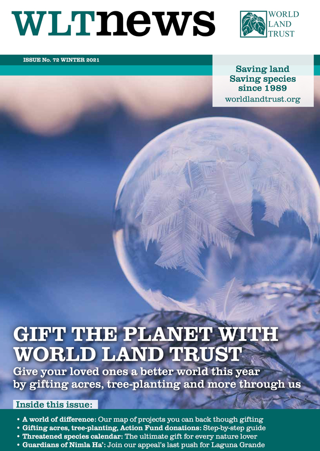 WLT News Winter 2021