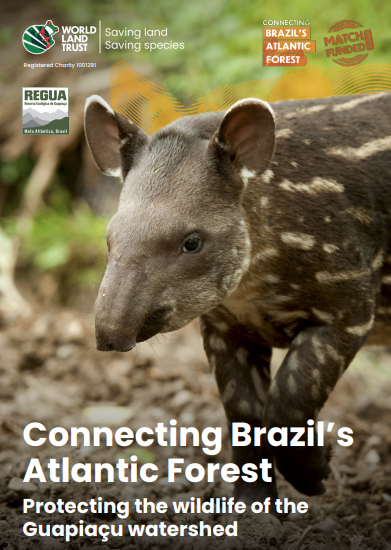 Connecting Brazil’s Atlantic Forest