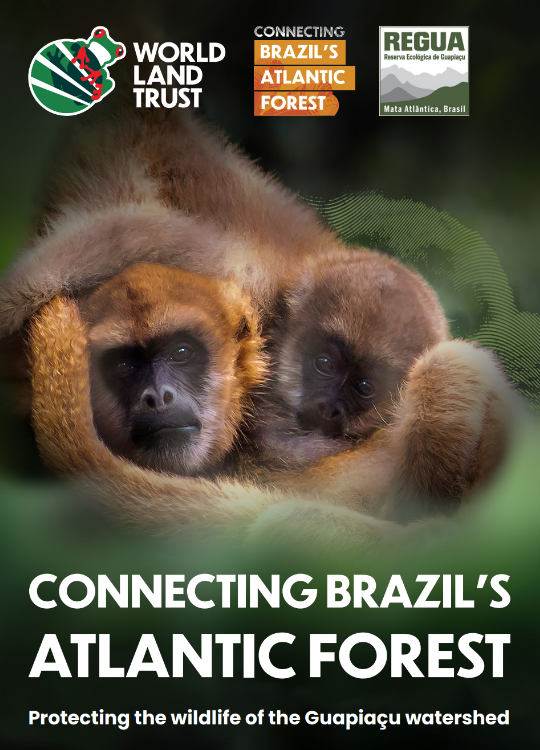 Atlantic Forest Project Brief