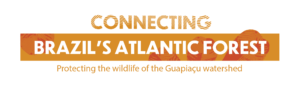 Connecting Brazil's Atlantic Forest