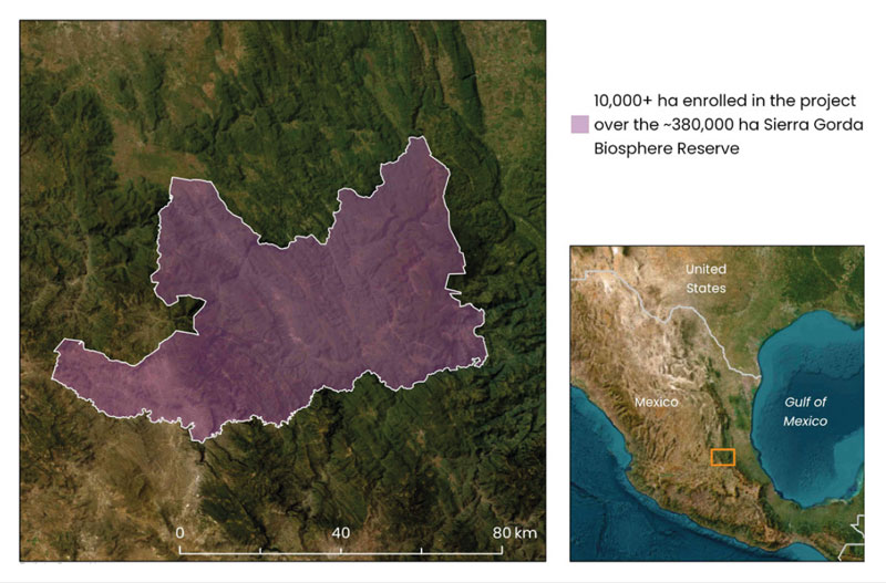 North-central Mexico - Protecting Sierra Gorda