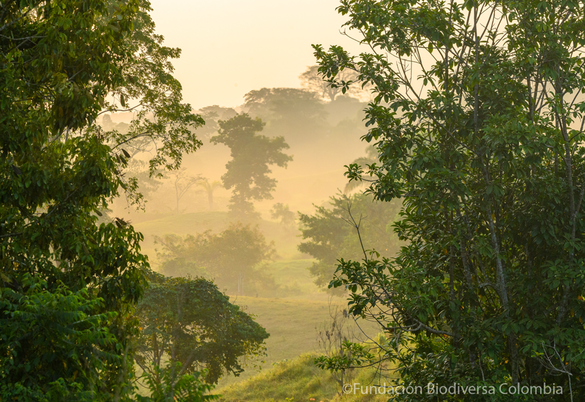 A view of El Silencio