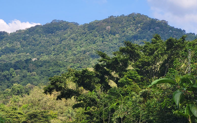 A view of the Hermes Plot