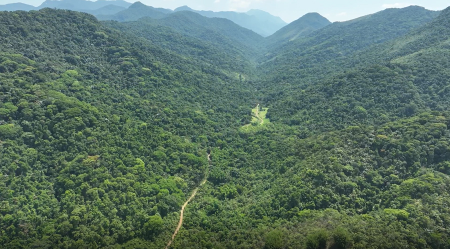 A panoramic view of the Hermes property, REGUA