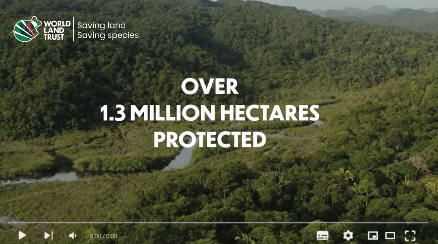World Land Trust | Saving Land, Saving Species