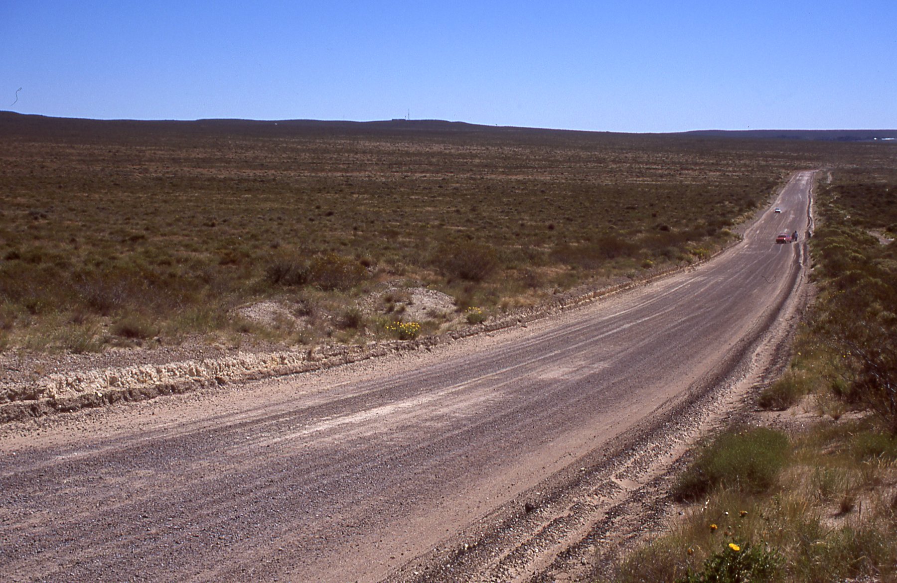 Coastal Road south of Puerto Madryn - Roz Gordon