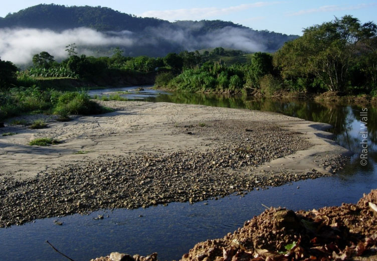 A view of Guapiacu watershed