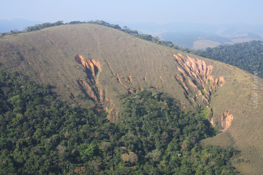 A view of gully erosion on deforested slopes in the Guapiaçu watershed