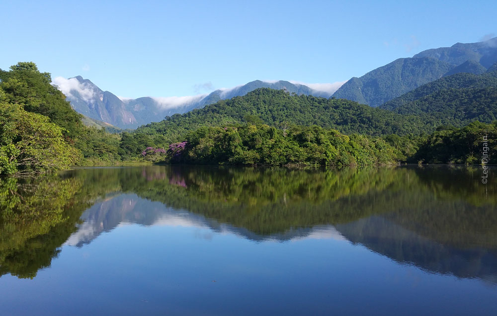 Wetlands at REGUA, Brazil