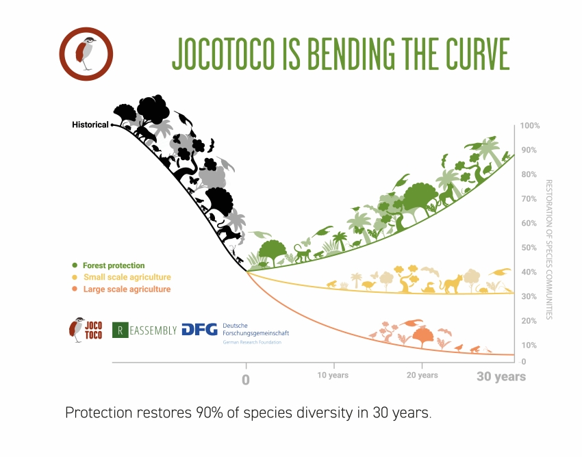 Forest recovery graphic
