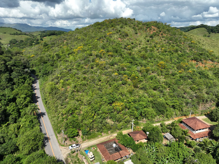 Hillside at REGUA after reforestation