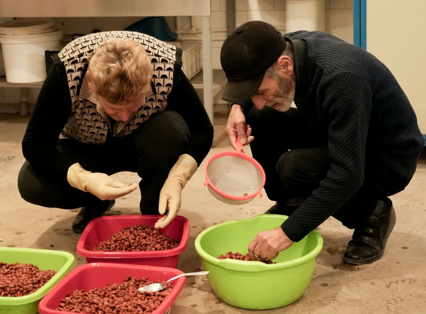 Two FPWC staff members sorting seeds for germination