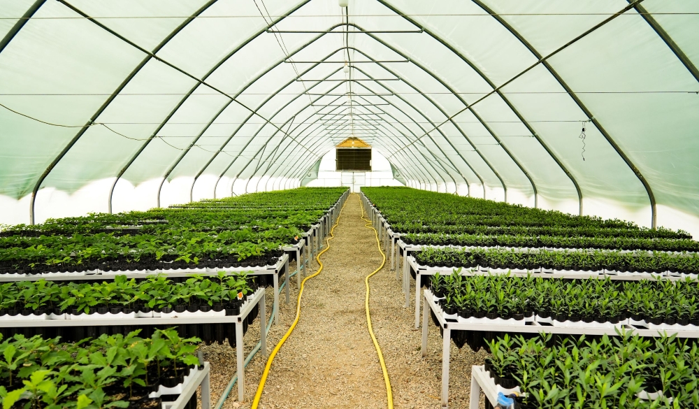 One of Foundation for the Preservation of Wildlife and Cultural Asset's (FPWC's) greenhouses in Urtsadzor, Armenia.