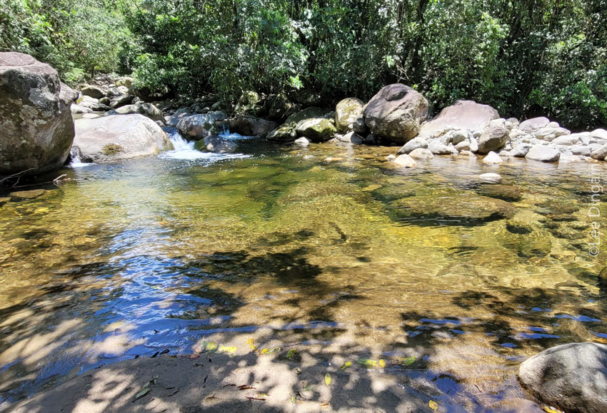 A tributary of the upper Guapiaçu river at REGUA