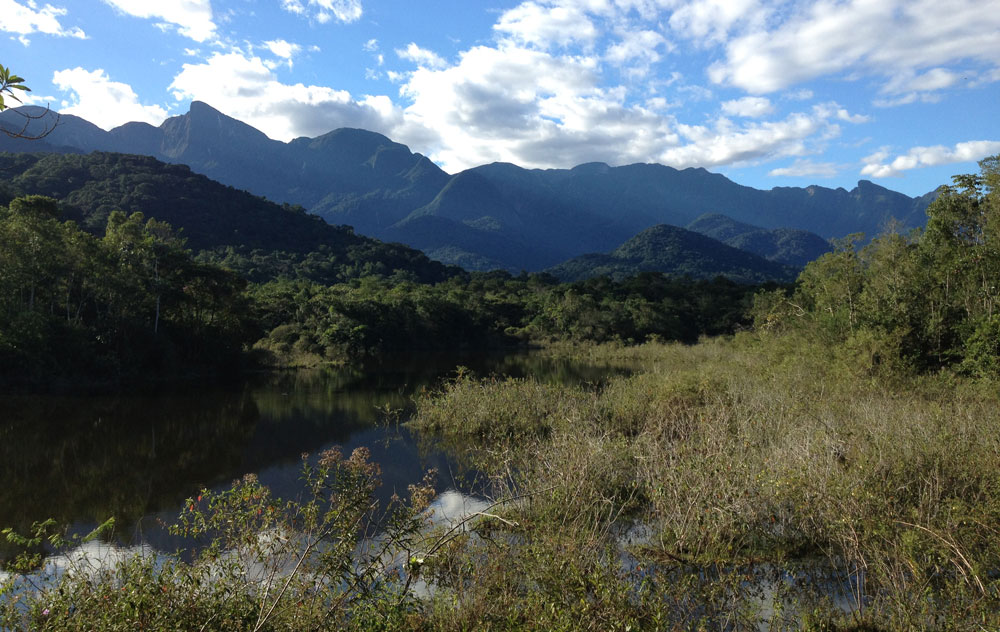 A view of wetlands at REGUA, Brazil