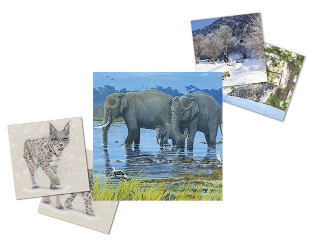 Greetings cards