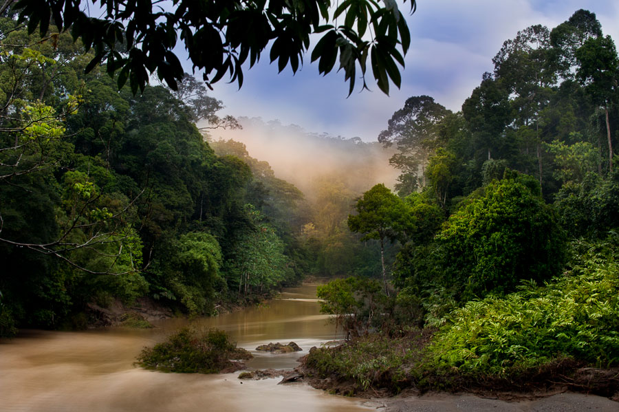 Kinabatangan River, Malaysian Borneo